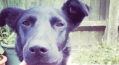 We adore Roxy's 'personality'