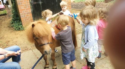 Horsing about