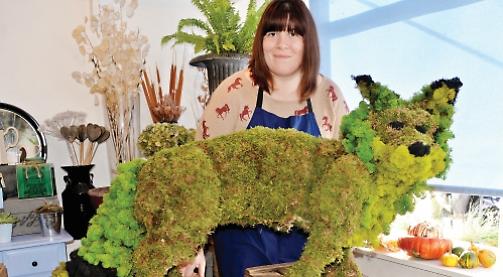 Look out for Fantastic Moss-ter Fox in florist's window