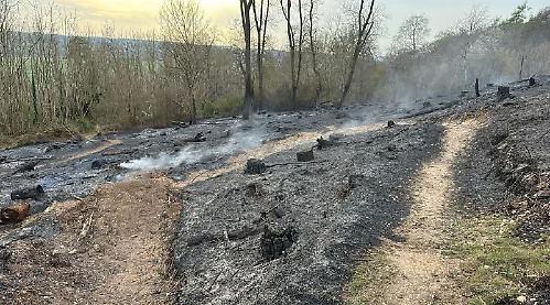 Firefighters battle for three hours to stop wood blaze