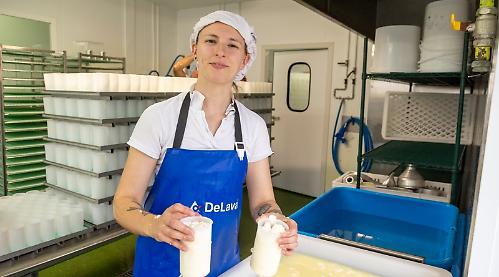 Blessed are the cheesemakers
