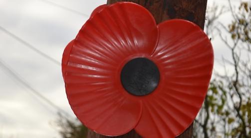 Poppy Appeal