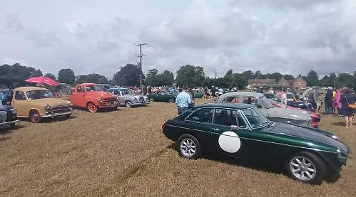 Classic car enthusiasts gather for annual show