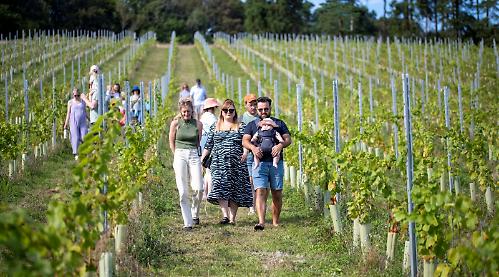 Stonor Valley Wine Farm 2708
