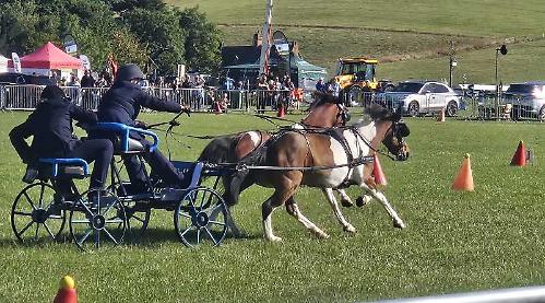 Clash of colours in high-speed blur of riders and ponies