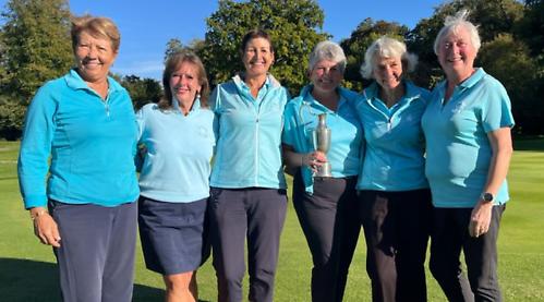 Henley secure honours at interclub competitions