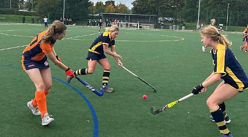 Barass nets treble as five-star Henley put visitors to sword