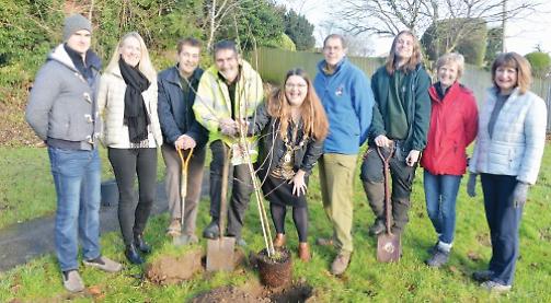 6ft apple is first tree to be planted at community orchard