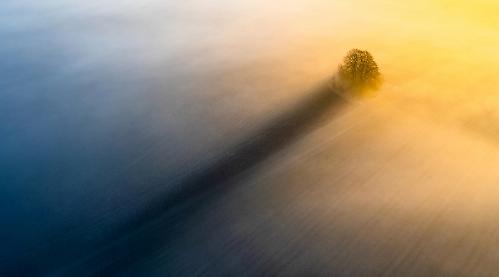 Photographer wins award with misty morning shadow