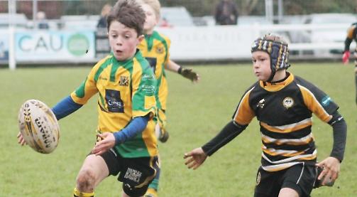 Swans have edge as U11 sides shine under lights