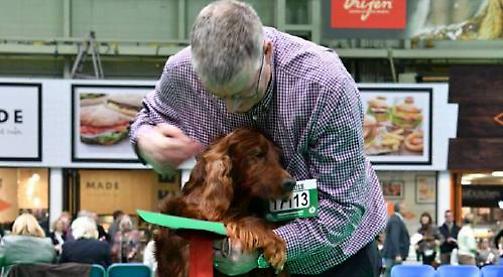 Crufts joy