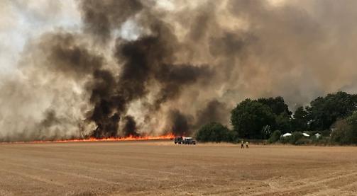 Firefighters battling blaze in Shiplake field