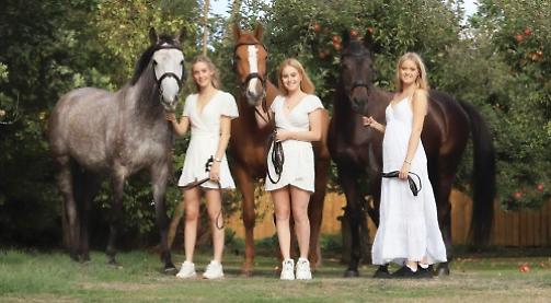 Frightened horses can run off and hurt themselves on fence