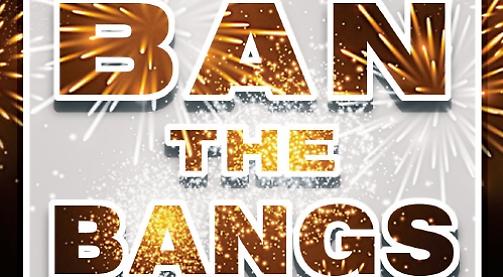 Ban the bangs in fireworks