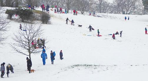 February freeze shuts schools