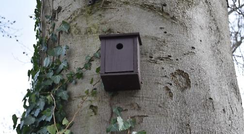 In-nestment