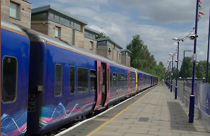 Delays for commuters as tree blocks branch line