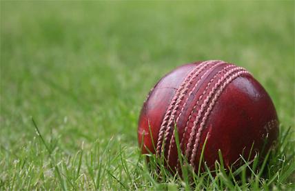 Kids’ cricket