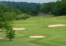 Brakspear to hold golf day
