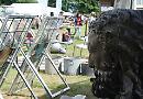 Salvage fair back