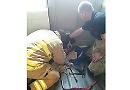 Dog gets stuck in cat flap