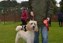 Remenham fayre 2017