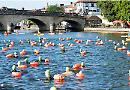 Open water swim rated best event in UK