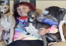 Dogs in the running to be champions at Crufts
