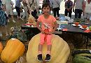 Sun shines on Henley Farm and Country Show