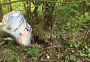 Berkshire, Buckinghamshire and Oxfordshire Wildlife Trust