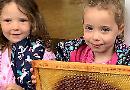 Children enjoy visit from beekeeper