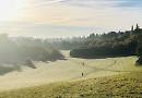 Frosty morning
