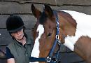 Hall Place Equestrian Centre