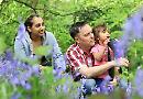 Berkshire, Buckinghamshire and Oxfordshire Wildlife Trust
