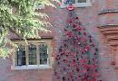 Remembrance display