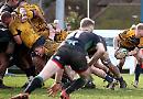 Hawks braced for tough battle with Sevenoaks