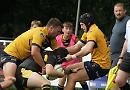 Hawks just about prevail in thrilling season opener