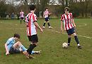 Hotspurs show grit despite being edged out by visitors