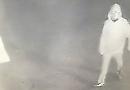 Thief steals fish from award-winning restaurant