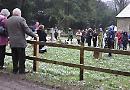 Church's 21st snowdrop festival gets off to a... snowy start