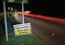 Toads encouraged to spawn on mild night