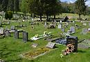 Council admits burial blunders