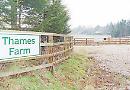 Thames Farm homes 'should be approved'
