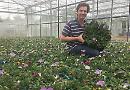 Hanging baskets campaign gathers pace