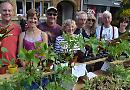 Allotment holders sell homegrown veg plants for charity