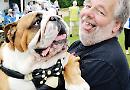 Dogs of all shapes and sizes go walkies for annual show