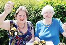 Gwynn, 91, creates buzz for window competition