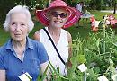 Temperatures rocket as sun shines on summer fetes