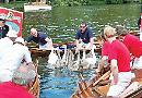 Swans and cygnets removed from river