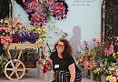 Floral Circus wins silver gilt at RHS Show